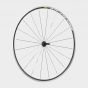 Aksium 19 Front Wheel